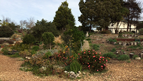 Fort Mason Community Garden